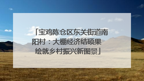 宝鸡陈仓区东关街道南阳村：大棚经济结硕果 绘就乡村振兴新图景