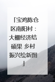 宝鸡陈仓区南阳村：大棚经济结硕果 乡村振兴绘新图