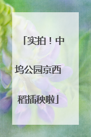 实拍！中坞公园京西稻插秧啦