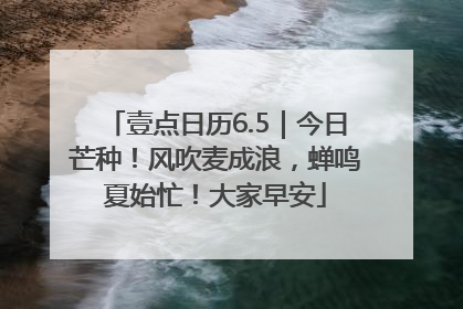 壹点日历6.5｜今日芒种！风吹麦成浪，蝉鸣夏始忙！大家早安