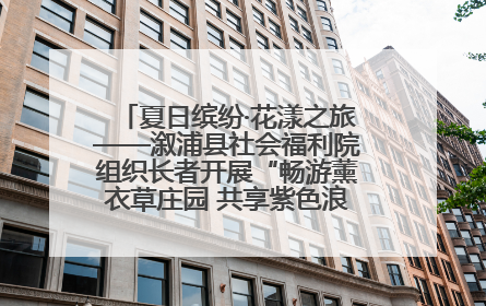 夏日缤纷·花漾之旅——溆浦县社会福利院组织长者开展“畅游薰衣草庄园 共享紫色浪漫”户外活动