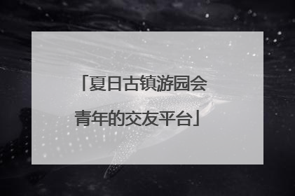 夏日古镇游园会 青年的交友平台