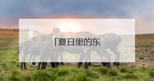 夏日里的东极养路人