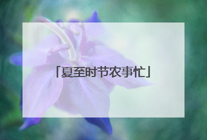 夏至时节农事忙