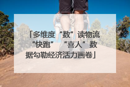 多维度“数”读物流“快跑” “喜人”数据勾勒经济活力画卷