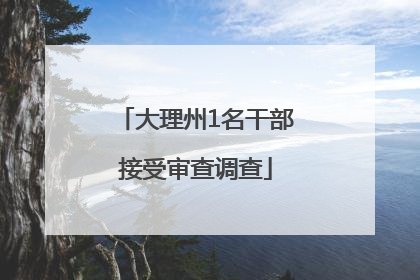 大理州1名干部接受审查调查