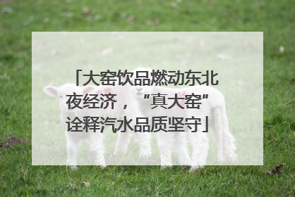 大窑饮品燃动东北夜经济，“真大窑”诠释汽水品质坚守