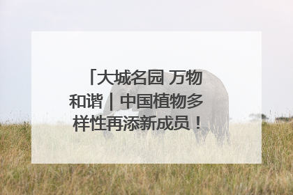 大城名园 万物和谐｜中国植物多样性再添新成员！它只在西藏墨脱