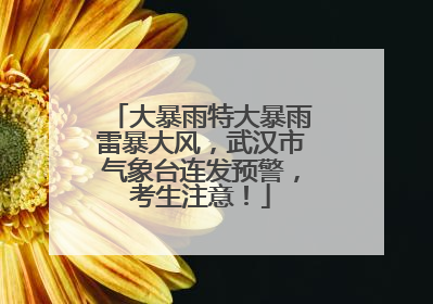 大暴雨特大暴雨雷暴大风，武汉市气象台连发预警，考生注意！