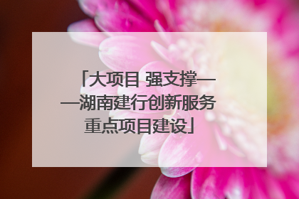 大项目 强支撑——湖南建行创新服务重点项目建设