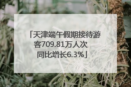天津端午假期接待游客709.81万人次 同比增长6.3%
