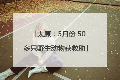 太原：5月份 50多只野生动物获救助