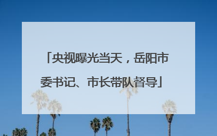 央视曝光当天，岳阳市委书记、市长带队督导