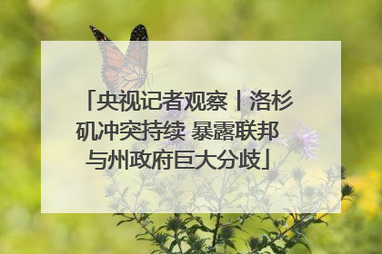 央视记者观察丨洛杉矶冲突持续 暴露联邦与州政府巨大分歧