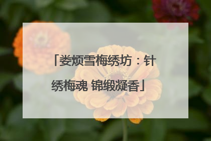 娄烦雪梅绣坊：针绣梅魂 锦缎凝香