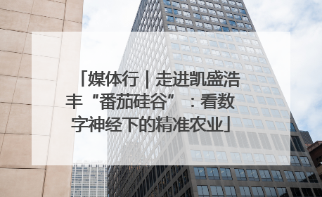 媒体行｜走进凯盛浩丰“番茄硅谷”：看数字神经下的精准农业