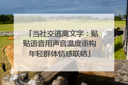 当社交逃离文字：贴贴语音用声音温度重构年轻群体情感联结