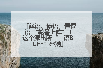 彝语、傣语、傈僳语 “轮番上阵”！这个派出所“三语BUFF”叠满