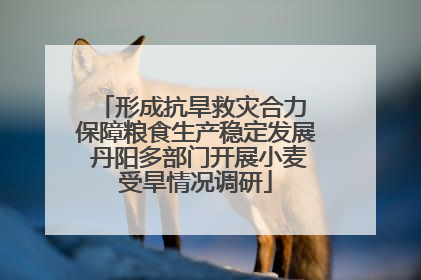 形成抗旱救灾合力 保障粮食生产稳定发展 丹阳多部门开展小麦受旱情况调研