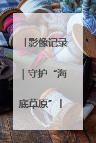 影像记录｜守护“海底草原”