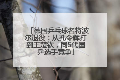 德国乒乓球名将波尔退役：从孔令辉打到王楚钦，同5代国乒选手竞争