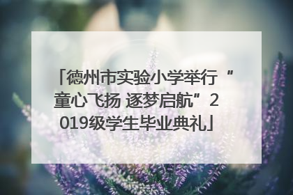 德州市实验小学举行“童心飞扬 逐梦启航”2019级学生毕业典礼