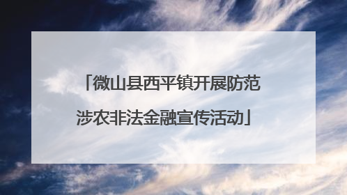 微山县西平镇开展防范涉农非法金融宣传活动