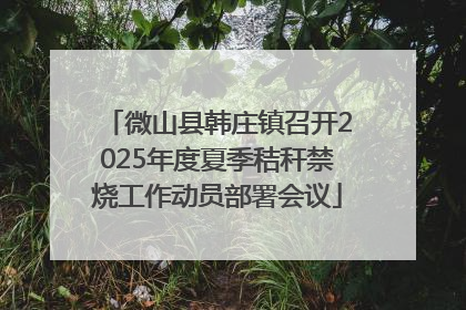 微山县韩庄镇召开2025年度夏季秸秆禁烧工作动员部署会议