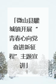 微山县驩城镇开展“青春心向党 奋进新征程”主题宣讲