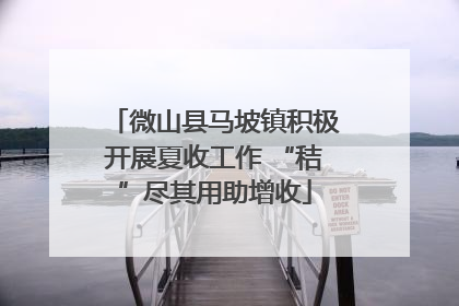 微山县马坡镇积极开展夏收工作 “秸”尽其用助增收