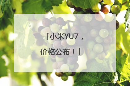 小米YU7，价格公布！