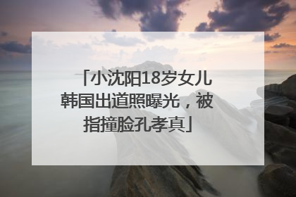 小沈阳18岁女儿韩国出道照曝光，被指撞脸孔孝真