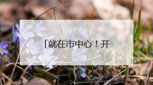 就在市中心！开业就爆满！上海小囡都熟悉的光明又开社区食堂啦