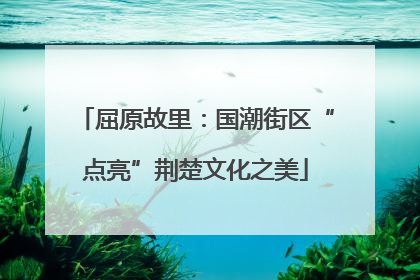 屈原故里：国潮街区“点亮”荆楚文化之美