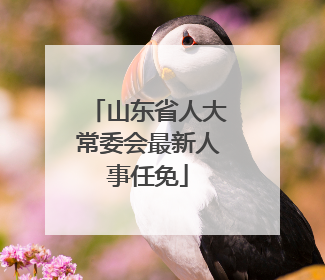 山东省人大常委会最新人事任免