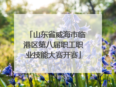 山东省威海市临港区第八届职工职业技能大赛开赛