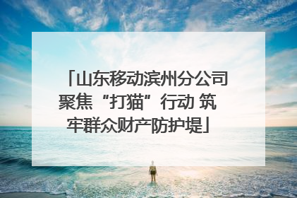 山东移动滨州分公司聚焦“打猫”行动 筑牢群众财产防护堤