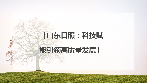 山东日照：科技赋能引领高质量发展