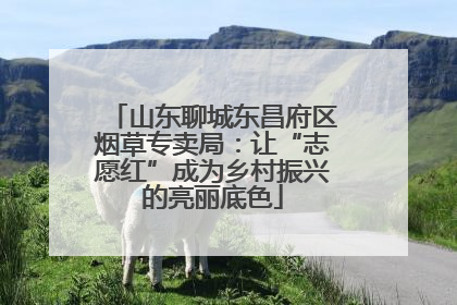 山东聊城东昌府区烟草专卖局：让“志愿红”成为乡村振兴的亮丽底色