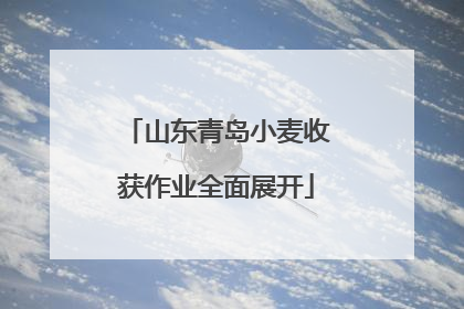 山东青岛小麦收获作业全面展开