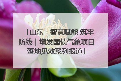 山东：智慧赋能 筑牢防线｜增发国债气象项目落地见效系列报道
