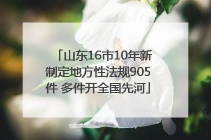 山东16市10年新制定地方性法规905件 多件开全国先河