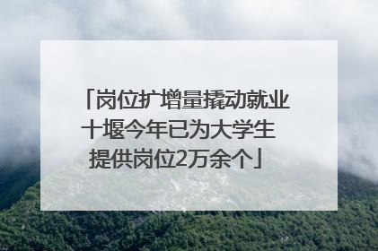 岗位扩增量撬动就业 十堰今年已为大学生提供岗位2万余个