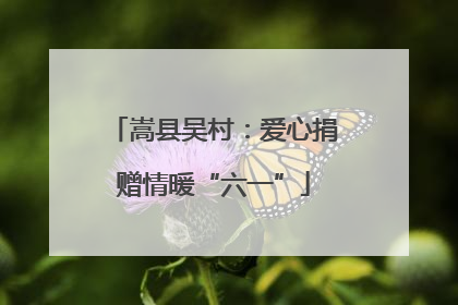 嵩县吴村：爱心捐赠情暖“六一”
