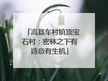 嵩县车村镇顶宝石村：密林之下有诗意有生机