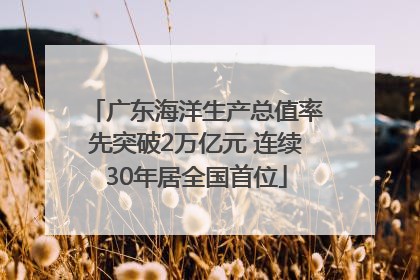 广东海洋生产总值率先突破2万亿元 连续30年居全国首位