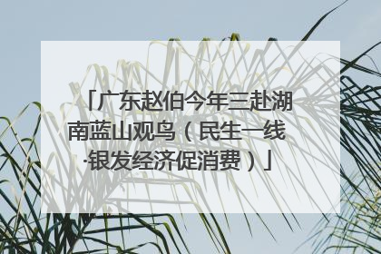 广东赵伯今年三赴湖南蓝山观鸟（民生一线·银发经济促消费）