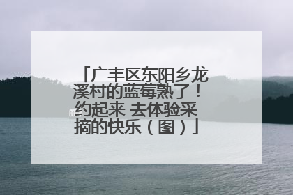 广丰区东阳乡龙溪村的蓝莓熟了！约起来 去体验采摘的快乐（图）