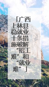 广西上林县稳就业十条措施破解“招工难”和“就业难”
