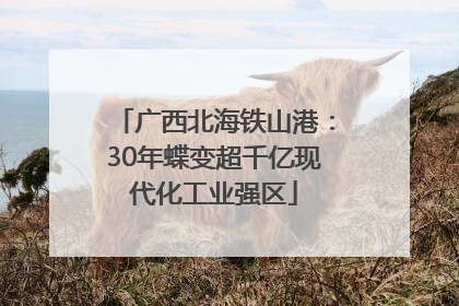 广西北海铁山港：30年蝶变超千亿现代化工业强区